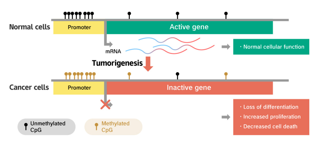 1693459001172056.png ͼƬ2.png