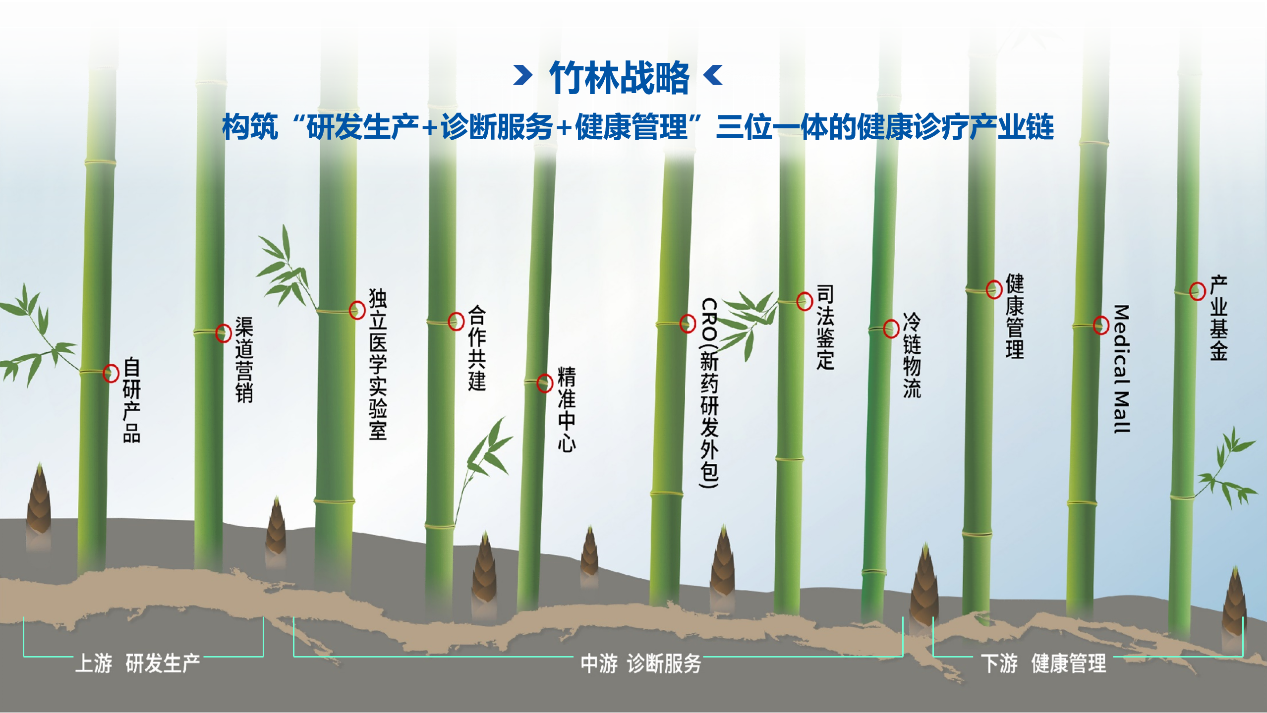 1715751046897821.png 图片1(1).png