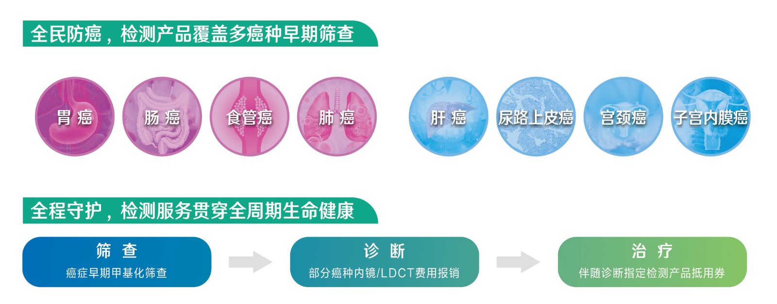 20240219 ȫ ȫػҳ210x297mm-03.jpg