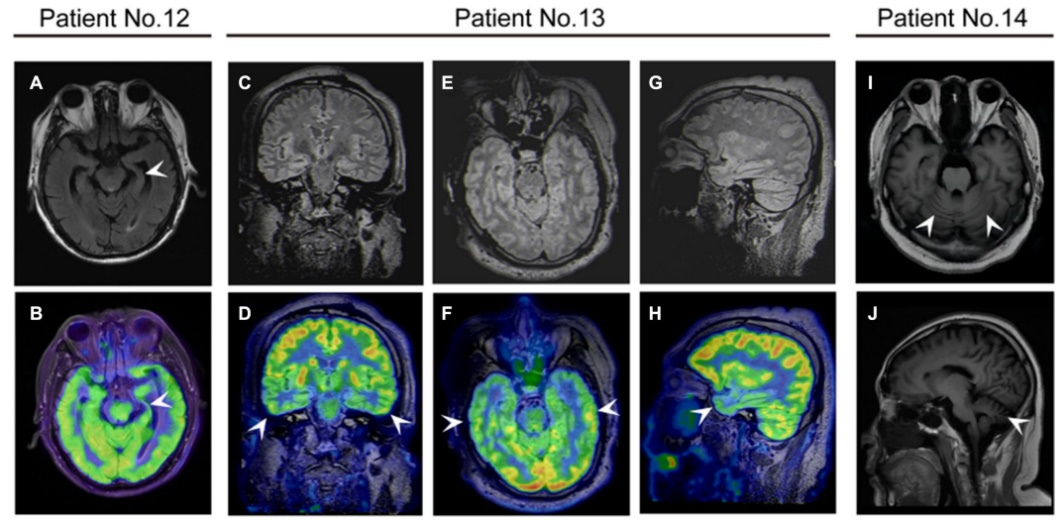 1717556577263279.png ͼƬ2.png